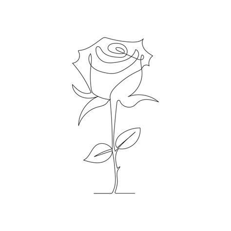 Continuous One Line Rose Flower Drawing And Single Outline Vector Art