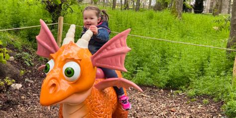 Dragons Parcours Dans Les Arbres Et Mini Ferme Au Ch Teau Parc De