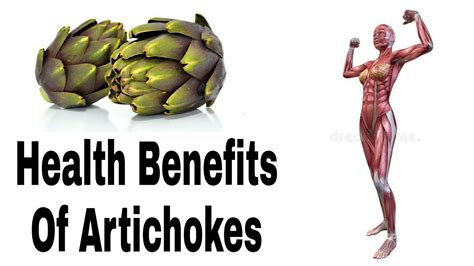 Health Benefits Of Artichokes What Artichokes Do To Your Body Youtube