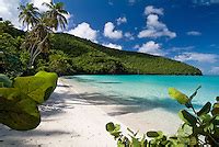 Maho Bay St John Steve Simonsen Photography