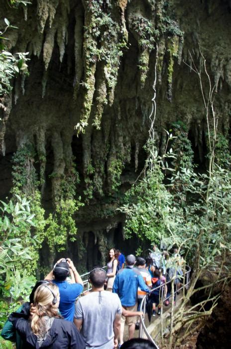 Camuy River Caves Park : Puerto Rico | Visions of Travel