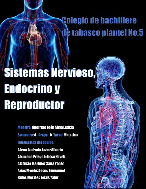 S D Revista Digital Sistemas Nervioso Endocrino Y Reproductor By