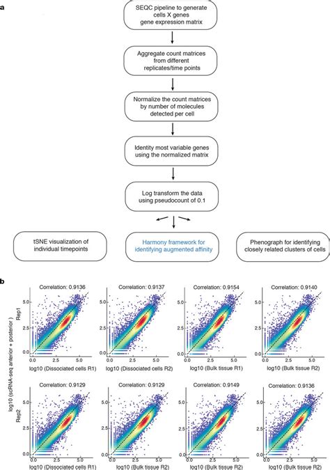 Computational Pipeline And Comparison Of ScRNA Seq Data With Bulk