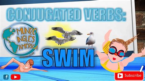 Conjugated Verbs SWIM Como Conjugar El Verbo SWIM YouTube