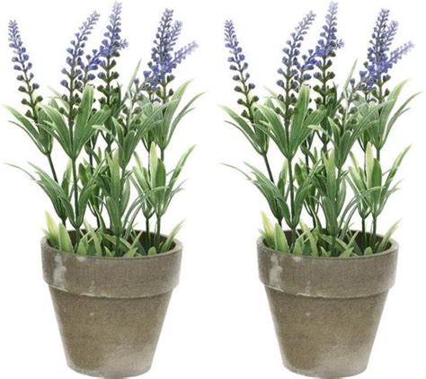 X Groene Paarse Lavandula Lavendel Kunstplanten Cm In Grijze