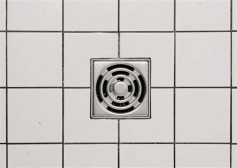 How To Clean And Remove Shower Drain Odor Homeviable