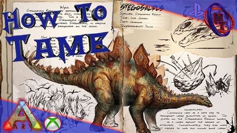 Ark Survival Evolved How To Tame Stegosaurus Youtube