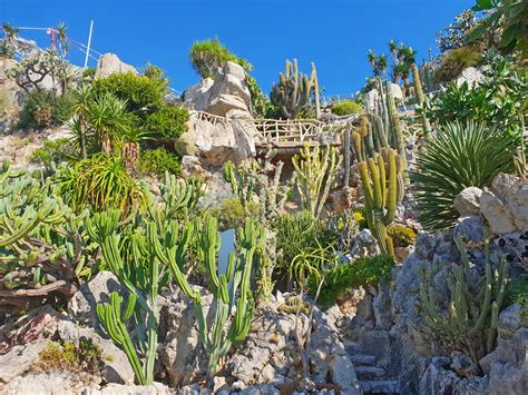 Blumenriviera Mit Monaco Heinz Sprenzel Reisen