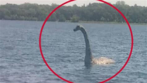 5 Avvistamenti Reali Del Mostro Di Loch Ness Tabu Tv Youtube