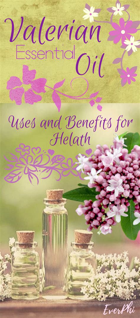 Valerian Essential Oil Uses And Benefits For Health Artofit