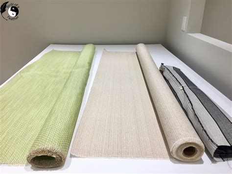 PPG BreakThrough Paint Test - Birdz of a Feather