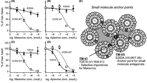 Dose Dependent Inhibition Of Cell Cell Fusion By Maraviroc And