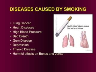 Hazards Of Smoking | PPT