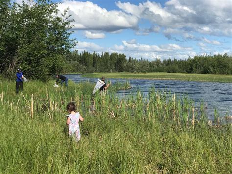 Volunteer Activities – Friends of Alaska National Wildlife Refuges