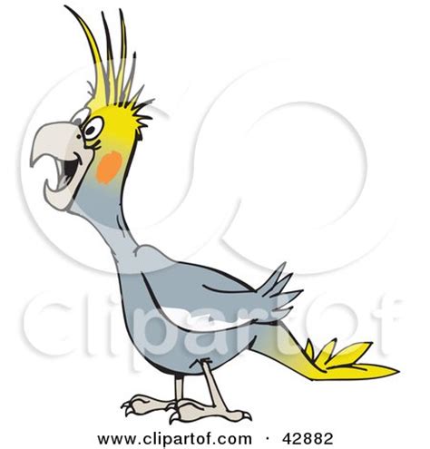 Clipart Illustration of a Laughing Gray Cockatiel by Dennis Holmes ...