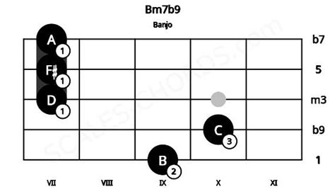 Bm B Banjo Chord B Minor Flat Ninth Scales Chords