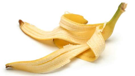 10 Dicas Para Aproveitar Cascas De Banana