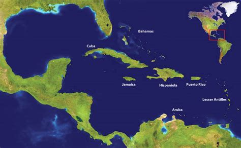 Project Sites - Island Biogeography