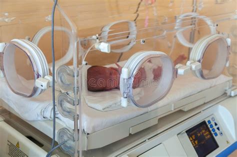 Premature Newborn Baby In The Hospital Incubator Neonatal Intensive