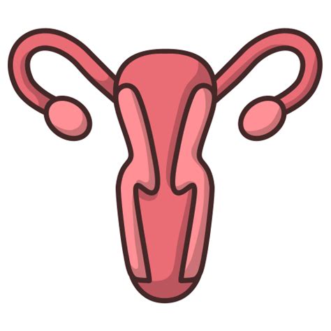 Vagina Generic Outline Color Icon