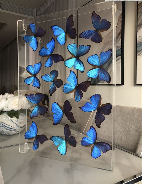 Butterfly Frame Etsy Butterfly Frame Butterfly Room Butterfly Art