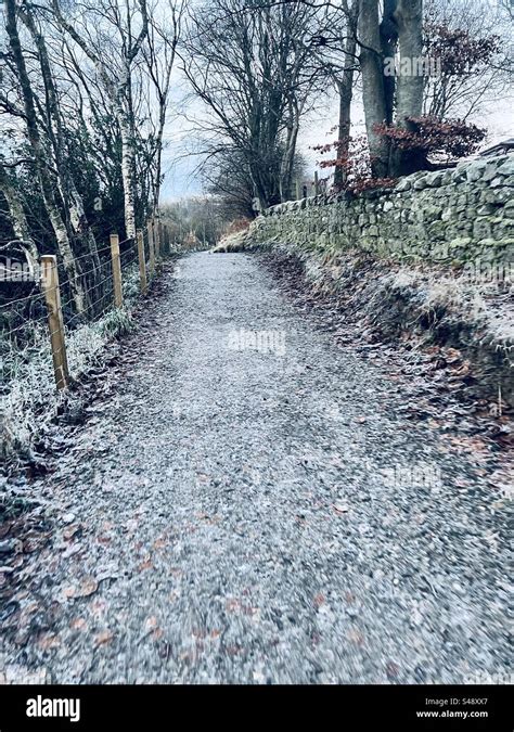 Winter Walk Frosty Path Stock Photo Alamy