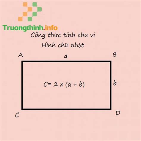 【1️⃣】 Công thức cách tính chu vi hình chữ nhật lớp 3, lớp 4 và bài tập - Trường Thịnh