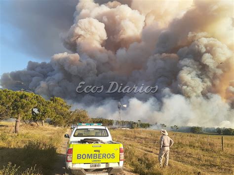 Más de 300 hectáreas arrasadas por incendios en la zona costera Ecos