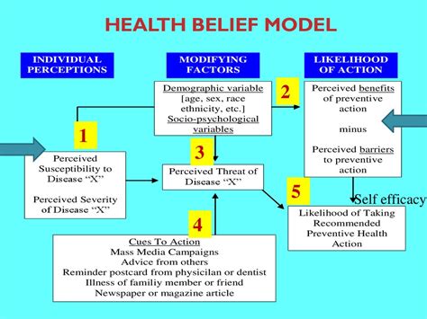 Health Belief Model Summary