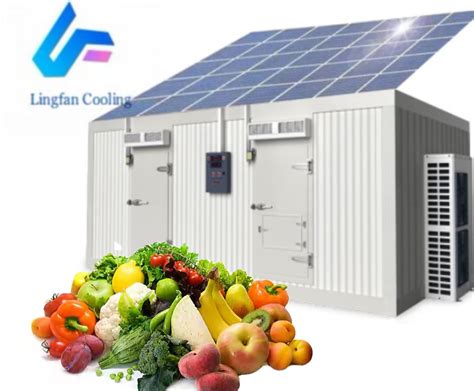 Solar Powered Cold Storage Blast Freezer Cold Room Storage Container