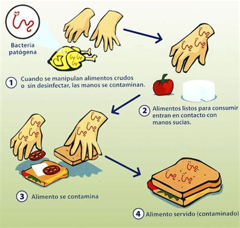 3o A Vida Saludable 6 10 Diciembre