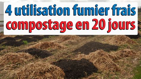 Utilisations Du Fumier Frais Compostage Du Fumier En Jours