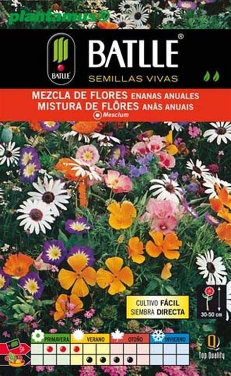 An O Anual Mistura De Sementes De Flores Mesclum Plantamus Nursery