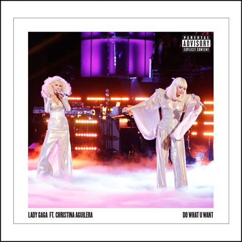 ‎do What U Want Feat Christina Aguilera Single Album By Lady