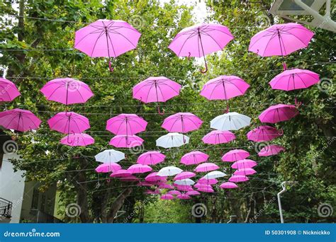 Pink And White Umbrellas Decorate Streets In Bellaria Igea Marina Stock