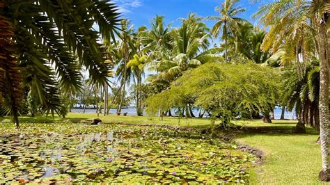 The Most Enchanting Tahiti Garden Garden Travel Guide