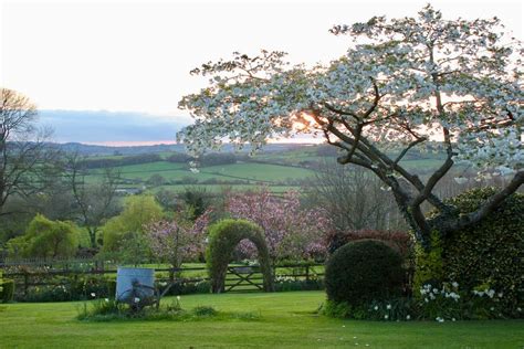 Long Hill Carriage Train Carriage In Somerset Canopy Stars