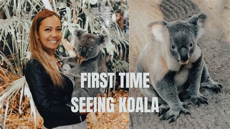 First Time Seeing KOALA In Brisbane Australia YouTube