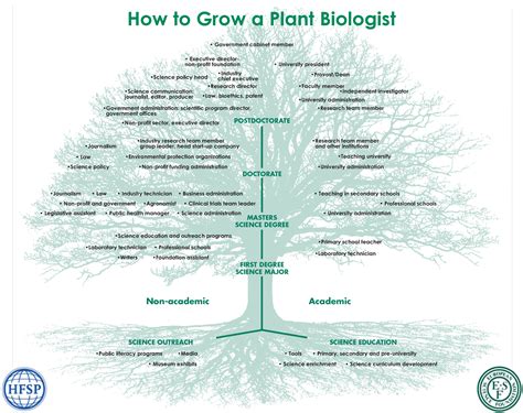 Career Opportunities For Plant Scientists Plant Science Today