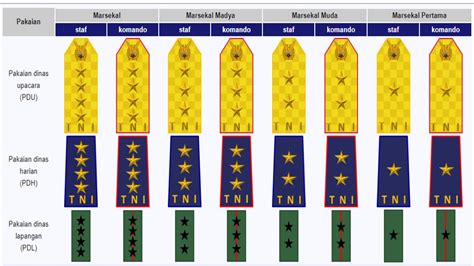 Urutan Pangkat Tni Au Dari Terendah Sampai Tertinggi Literacy Militer