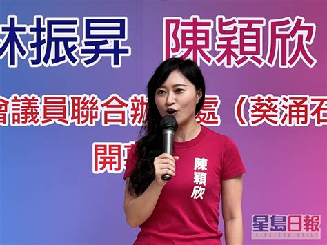 稱港英政府視區議會為諮詢組織 麥美娟批英方沒資格質疑完善地區治理方案 星島日報