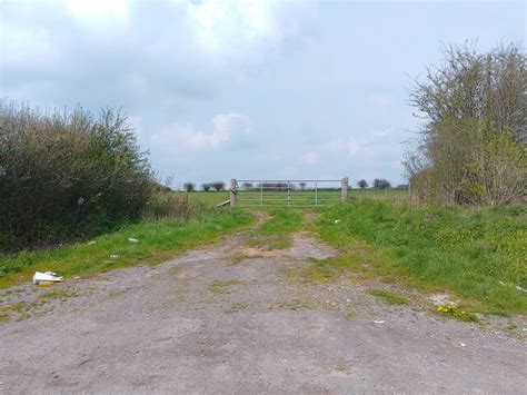 Bulford Field Plantations Wiltshire Area Information Map Walks And