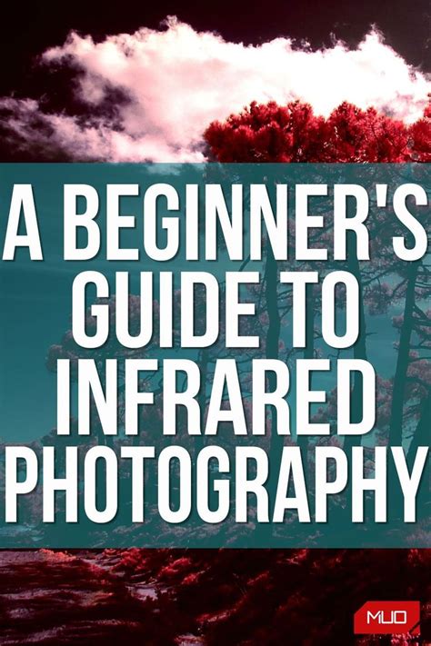 What Is Infrared Photography A Beginner S Guide Infrared Photography