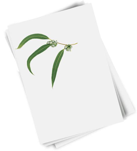 paper    navigator company