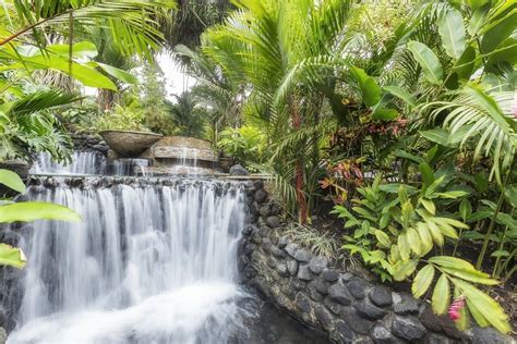 Tabacon Hot Springs In Arenal Volcano WAVE Expeditions