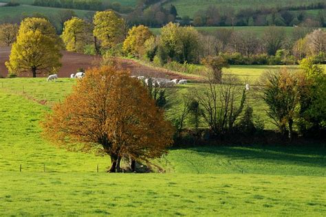 Des Arbres Cultiver Ranch Les Photo Gratuite Sur Pixabay Pixabay