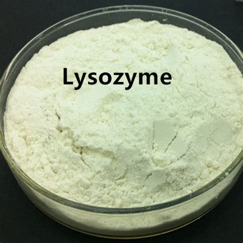 China Lysozyme Powder Manufacturers Lysozyme Powder Suppliers