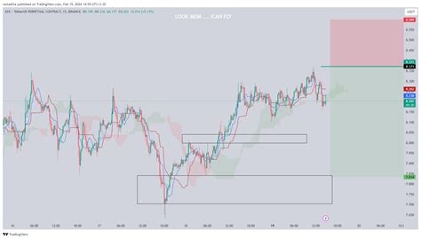 BINANCE AXSUSDT P Chart Image By Rastadrta TradingView