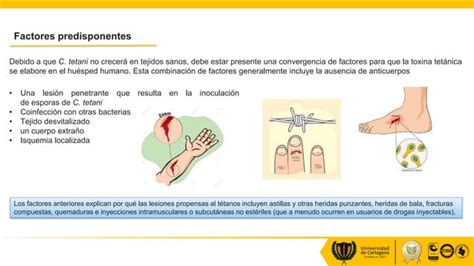 Expo De Tetano 2 Pptx Descarga Gratuita