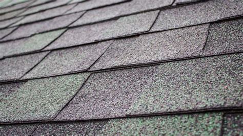 5 Signs You Need A Roof Replacement